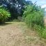  Land for sale in Thailand, Mae Sai, Mueang Phayao, Phayao, Thailand