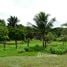  Terrain for sale in Para, Belem, Para