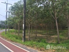  Land for sale in Thailand, Thai Mueang, Thai Mueang, Phangnga, Thailand