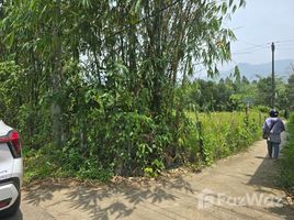  Terrain for sale in Da Nang, Hoa Bac, Hoa Vang, Da Nang
