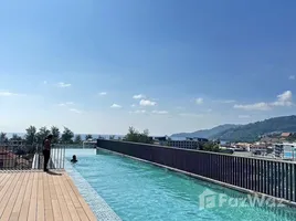 在The Deck Patong租赁的开间 公寓, 芭东, 卡图, 普吉