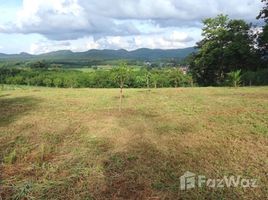 ขายที่ดิน ใน นาดินดำ, เลย, นาดินดำ, เมืองเลย