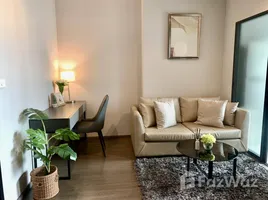 1 Bedroom Apartment for rent at Ideo Sukhumvit 93, Bang Chak, Phra Khanong, Bangkok, Thailand