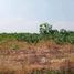  Land for sale in Chai Nat, Suk Duean Ha, Noen Kham, Chai Nat