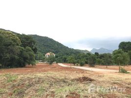 北标 Mittraphap Beautiful Land for Sale near Khao Yai N/A 土地 售 