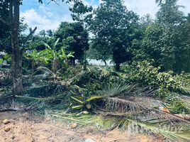 ขายที่ดิน ใน ตลิ่งงาม, สุราษฎร์ธานี, ตลิ่งงาม, เกาะสมุย, สุราษฎร์ธานี