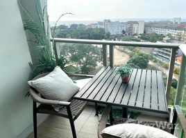 Студия Кондо в аренду в The Riviera Jomtien, Nong Prue