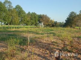  Terrain for sale in Chachoengsao, Bang Khanak, Bang Nam Priao, Chachoengsao