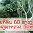  Terreno (Parcela) en venta en Tailandia, Phlu Ta Luang, Sattahip, Chon Buri, Tailandia