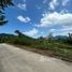  Land for sale in Lipa Noi, Surat Thani, Lipa Noi, Koh Samui
