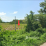  Land for sale in Sukhothai, Thap Phueng, Si Samrong, Sukhothai