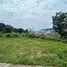  Land for sale in Patong, Phuket, Patong