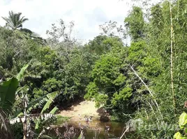  Grundstück zu verkaufen in La Chorrera, Amazonas, La Chorrera, Amazonas