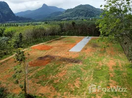 ขายที่ดิน ใน หนองทะเล, กระบี่, หนองทะเล, เมืองกระบี่, กระบี่