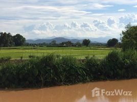  Land for sale in Thailand, Fai Kaeo, Phu Phiang, Nan, Thailand