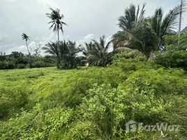  Terreno (Parcela) en venta en Mai Khao, Thalang, Mai Khao