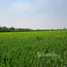  Land for sale in Khlong Luang Pathum Thani, Khlong Nueng, Khlong Luang, Pathum Thani