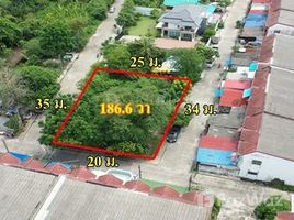 ขายที่ดิน ใน คลองมะเดื่อ, สมุทรสาคร, คลองมะเดื่อ, กระทุ่มแบน