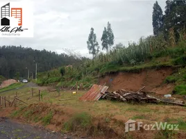  Land for sale in Cuenca Azuay, Paccha, Cuenca, Azuay, Ecuador