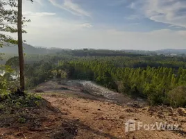 ขายที่ดิน ใน เชิงทะเล, ภูเก็ต, เชิงทะเล