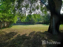 ขายที่ดิน ใน หนองจ๊อม, เชียงใหม่, หนองจ๊อม, สันทราย