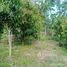  Земельный участок for sale in Phichai, Lampang, Phichai, Mueang Lampang