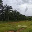  Land for sale in Nong Thale, Krabi, Nong Thale, Mueang Krabi, Krabi, Thailand