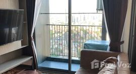 ยูนิตมือสองและให้เช่า