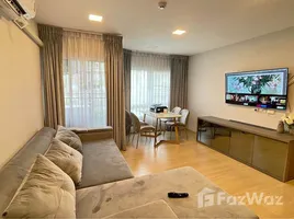 2 Bedroom Apartment for rent at Plum Condo Rangsit Alive, Khlong Nueng, Khlong Luang, Pathum Thani