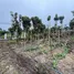  Terreno (Parcela) en venta en Costa Rica, Paraiso, Cartago, Costa Rica