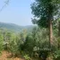  Land for sale in Chiang Mai, Huai Sai, Mae Rim, Chiang Mai