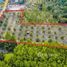 Земельный участок for sale in Klaeng, Районг, Klaeng