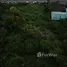在普吉大佛, 卡隆出售的 土地, 卡隆