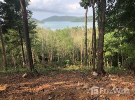  Land for sale in Thailand, Ko Chang Tai, Ko Chang, Trat, Thailand