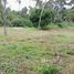  Land for sale in Koh Samui, Na Mueang, Koh Samui