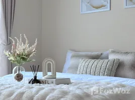 คอนโด 1 ห้องนอน ให้เช่า ในโครงการ เดอะ เบลกราเวีย รัชดา-ลาดพร้าว 15, วงศ์สว่าง