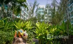 Communal Garden Area at Amazon Residence