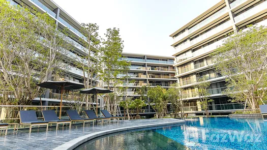 3D Walkthrough of the Communal Pool at Park Court Sukhumvit 77