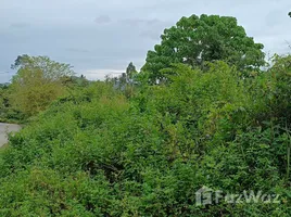 ขายที่ดิน ใน แม่น้ำ, สุราษฎร์ธานี, แม่น้ำ