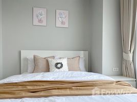 1 Bedroom Condo for rent at Rich Park at Chaophraya, Sai Ma, Mueang Nonthaburi, Nonthaburi