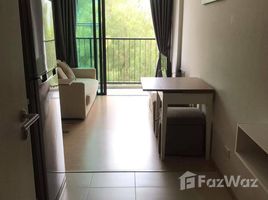 Studio Apartment for sale at Zcape I, Choeng Thale, Thalang, Phuket