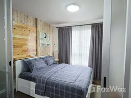 อพาร์ทเม้นท์ 1 ห้องนอน ให้เช่า ในโครงการ ดี คอนโด ครีก, กะทู้, กะทู้