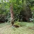  Terreno (Parcela) en venta en Baguio City, Cordillera, Baguio City, Benguet, Cordillera