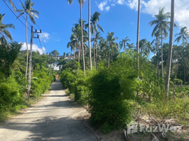  Terrain for sale in Koh Samui, Maenam, Koh Samui