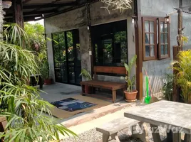 ขายบ้านเดี่ยว 2 ห้องนอน ใน ขุนคง, เชียงใหม่, ขุนคง, หางดง, เชียงใหม่, ไทย