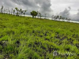 Land for sale in East Nusa Tenggara, Paberiwai, Sumba Timur, East Nusa Tenggara