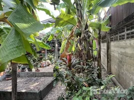 ขายที่ดิน ใน บางเขน, นนทบุรี, บางเขน