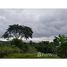  Land for sale in Puntarenas, Golfito, Puntarenas