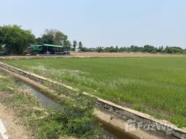  Land for sale in Kanchanaburi, Ban Mai, Tha Muang, Kanchanaburi
