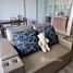 2 Bedroom Condo for rent at Fuse Chan - Sathorn, Yan Nawa, Sathon